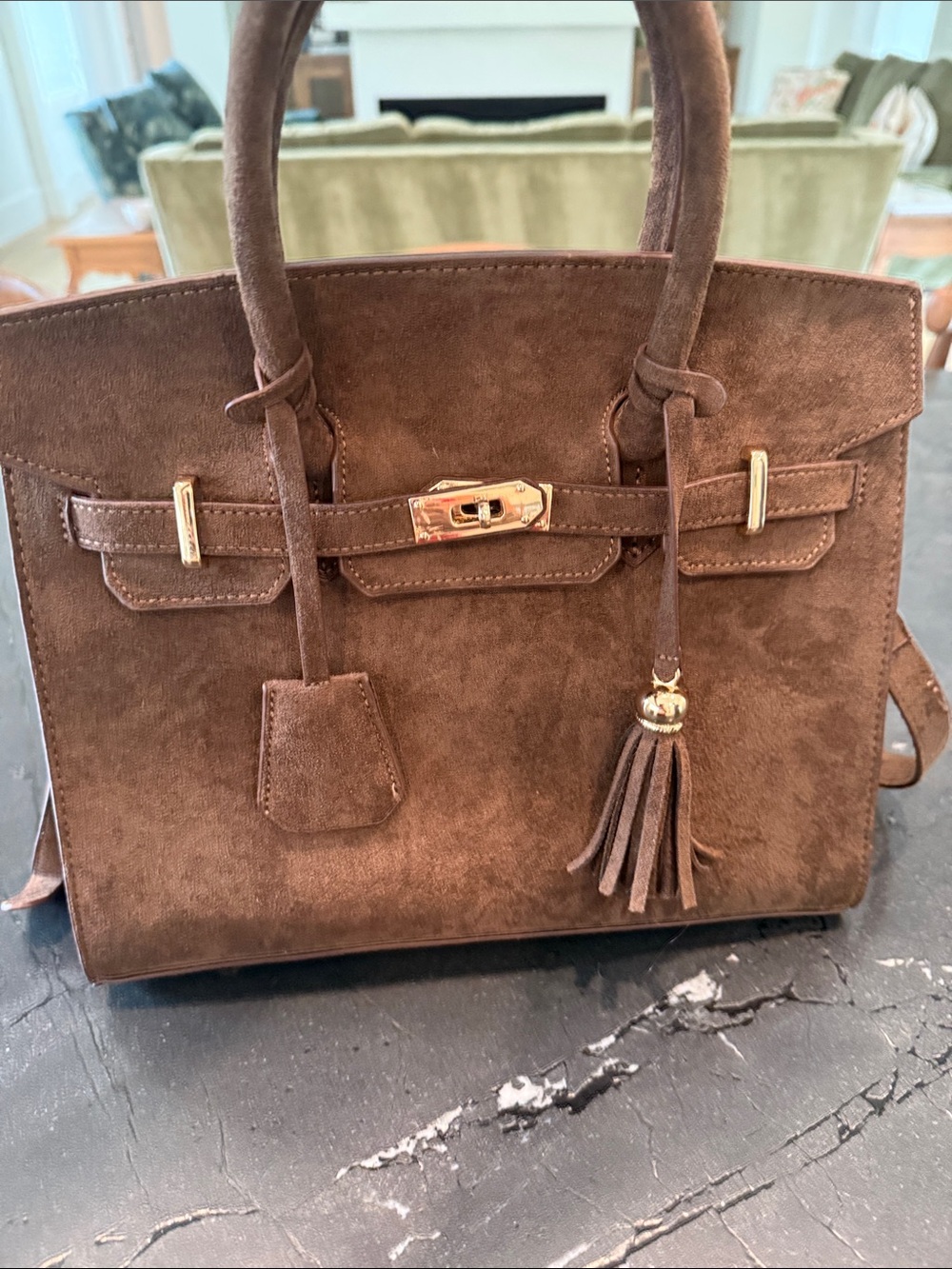 Brown Lisi Lerch  Suede Tassel Satchel with Gold Accent